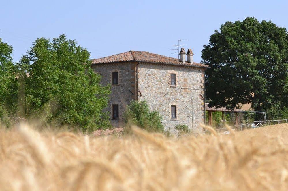Agriturismo Le Spighe Proceno Exterior foto
